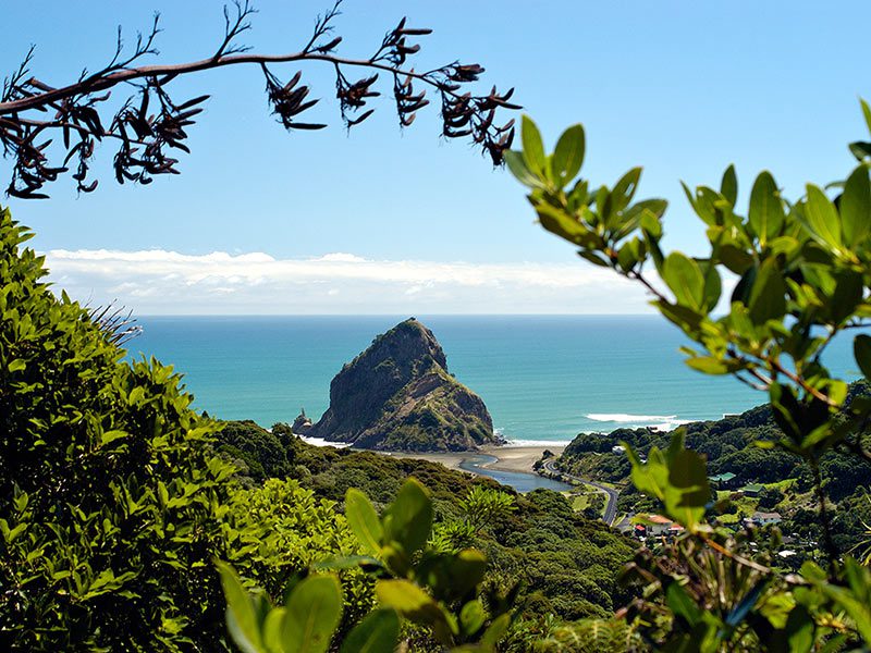 Plage de Piha à Auckland en Nouvelle-Zélande