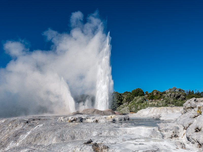 Spectateurs devant le geyser Pohutu à Rotorua en Nouvelle-Zélande