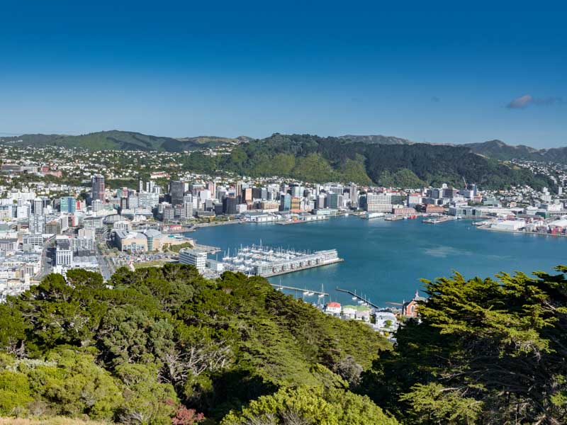 Panorama de Wellington et de sa baie en Nouvelle-Zélande