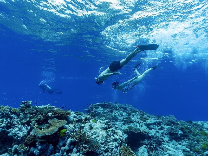 Deux plongeurs au dessus des coraux de la Grande barrière de corail en Australie