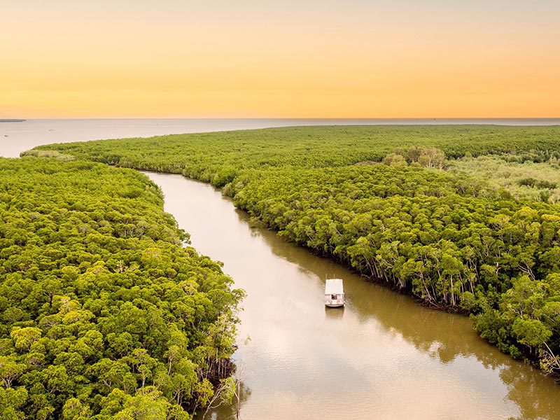 Vue aérienne d'un petit bateau sur une rivière entre la forêt tropicale près de Cairns en Australie