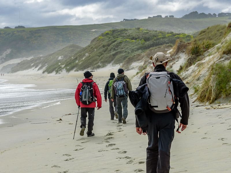 Petit groupe de marcheurs sur une plage de Nouvelle-Zélande