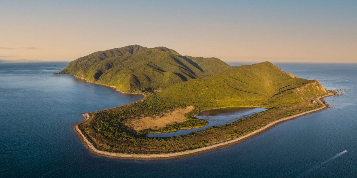 Ile de Kapiti vue du ciel en Nouvelle-Zélande