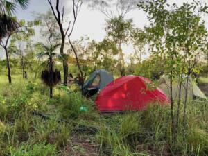 Groupe de tentes dans le parc national de Litchfield en Australie