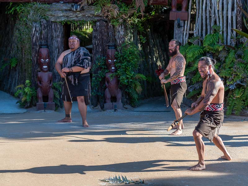 Spectacle de guerriers Maoris à Rotorua en Nouvelle-Zélande