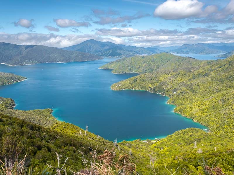 Panorama ensoleillé sur la mer et les collines de Queen Charlotte Sound en Nouvelle-Zélande