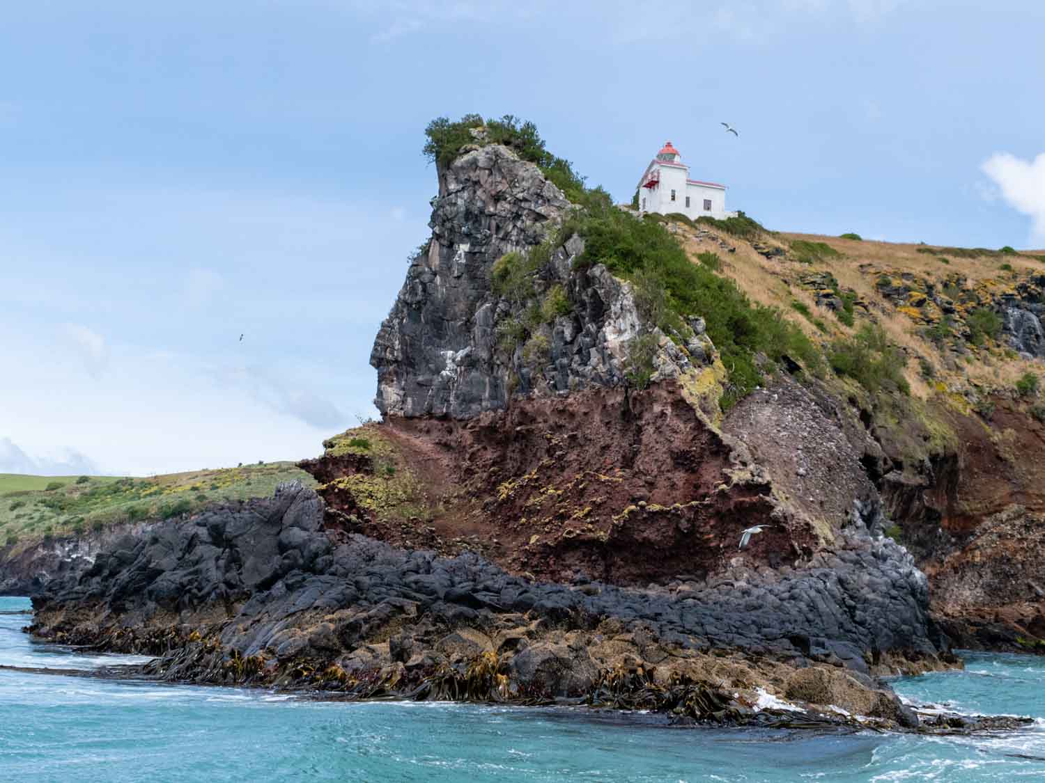 Vue depuis la mer d'un phare à la pointe de la péninsule d'Otago en Nouvelle-Zélande