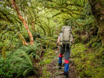 Randonneur dans la forêt sur le Milford Track en Nouvelle-Zélande