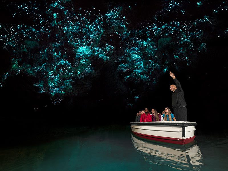 Passagers sur une barque dans une grotte de vers luisants à Waitomo en Nouvelle-Zélande