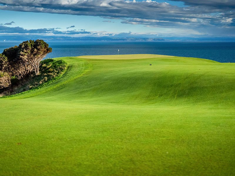 Vue aérienne d'un parcours de golf avec la mer en Nouvelle-Zélande