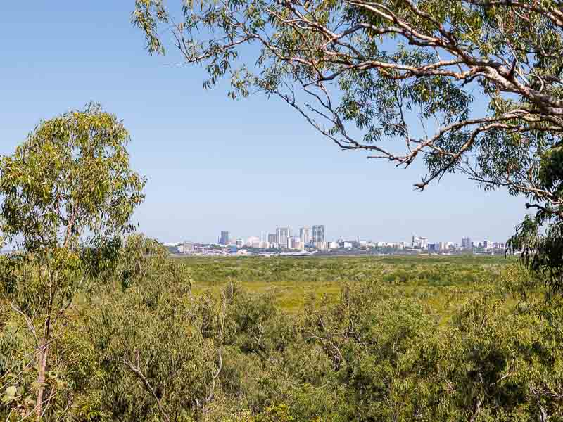 Vue de Darwin dans le lointain depuis un parc en Australie