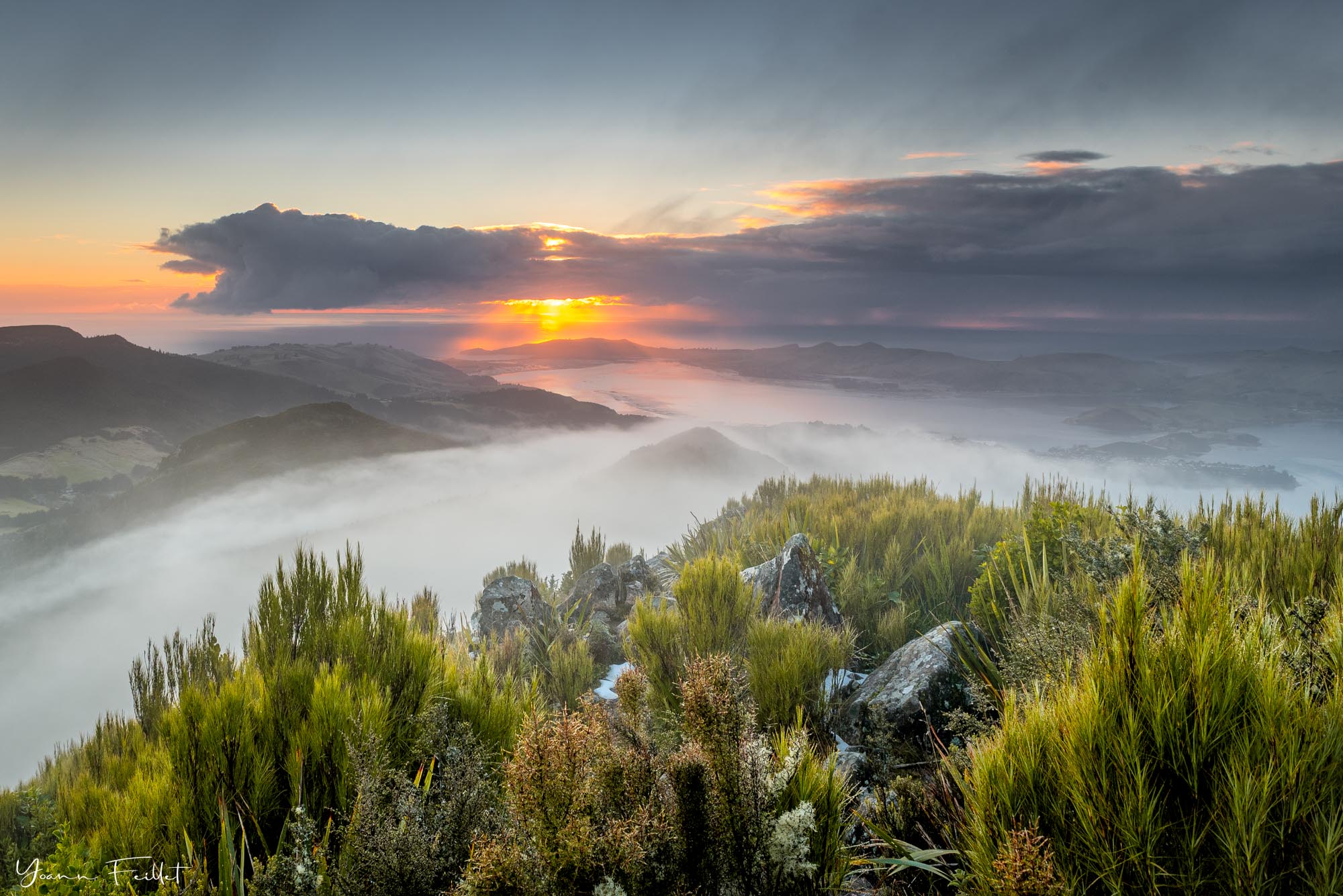 Lever de soleil sur la péninsule d'Otago en Nouvelle-Zélande