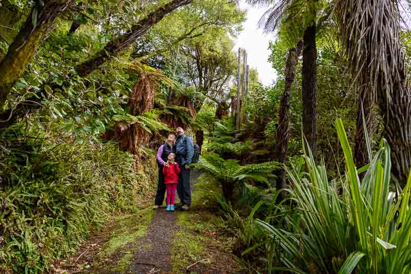 Une famille admire les fougères arborescentes sur un sentier en Nouvelle-Zélande