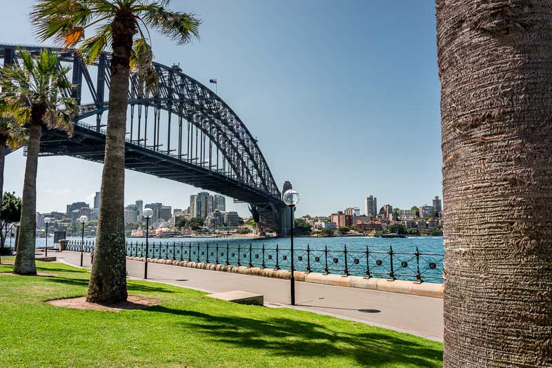 Le pont de Sydney entre des palmiers en Australie