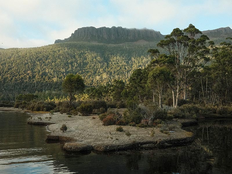 Forêt en bord de lac avec des montagnes en arrière plan dans la parc nation de Cradle Mountain en Tasmanie, Australie