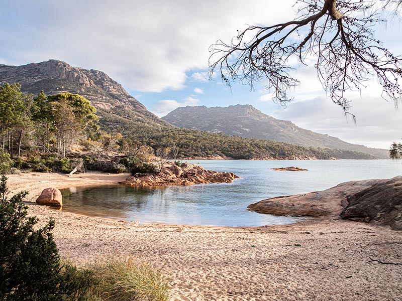 Plage en forme de fer à cheval dans le parc national de Freycinet en Tasmanie, Australie