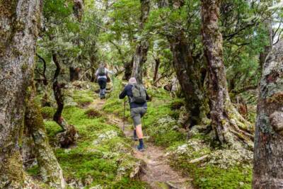 Randonneurs sur le Humpridge Track en Nouvelle-Zélande