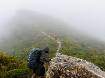 Randonneurs dans le brouillard sur le Humpridge Track en Nouvelle-Zélande