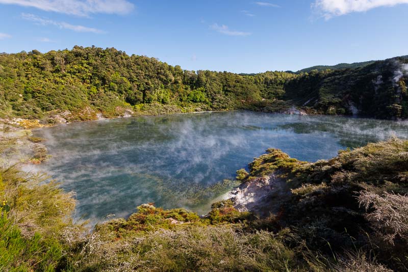 Lac bouillonnant entouré de forêt native à Rotorua en Nouvelle-Zélande