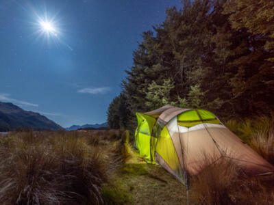 Tente de nuit illuminée dans la forêt en Nouvelle-Zélande